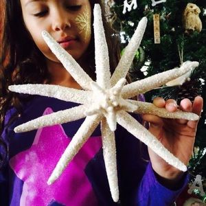NIP STARFISH CHRISTMAS TREE STAR TOPPER
